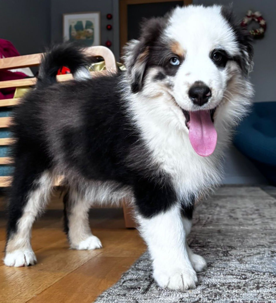 Les cocos 2 ème porté