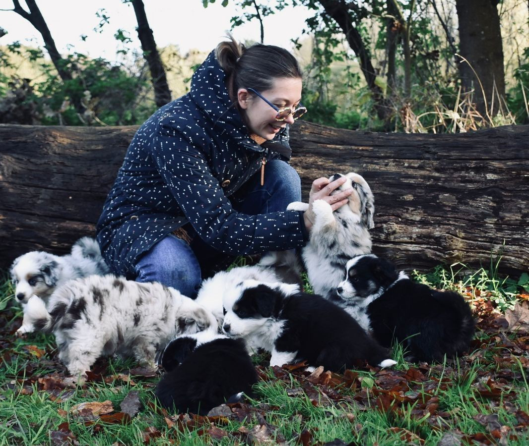 De La Pointe Aux Piments